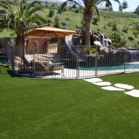 Synthetic Lawn Pine, Arizona Roof Top, Natural Swimming Pools