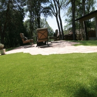 Synthetic Turf Bryce, Arizona Landscaping Business, Backyard Garden Ideas