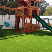 Synthetic Turf LeChee, Arizona Landscape Photos, Backyard Landscape Ideas