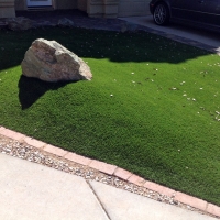 Synthetic Turf South Tucson, Arizona Lawn And Garden