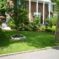 Turf Grass Parker Strip, Arizona Lawn And Garden, Front Yard Design