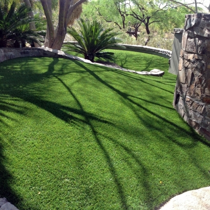 Artificial Grass Carpet Gu Oidak, Arizona Drainage