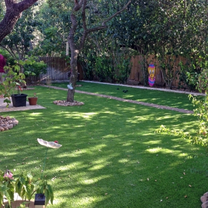 Artificial Grass Carpet Hotevilla-Bacavi, Arizona Roof Top, Backyard Design