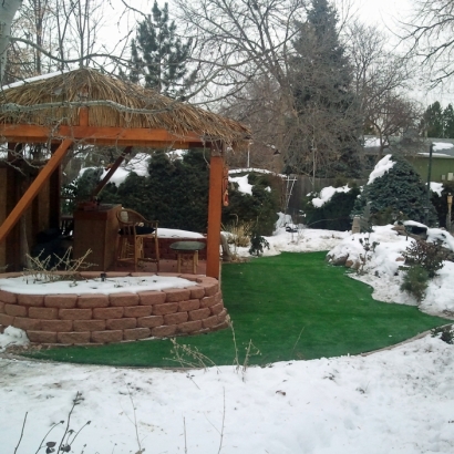 Artificial Grass Carpet Lake Havasu City, Arizona Lawns, Cold Weather