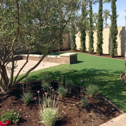 Artificial Grass Carpet Wilhoit, Arizona Garden Ideas, Backyard Landscaping Ideas