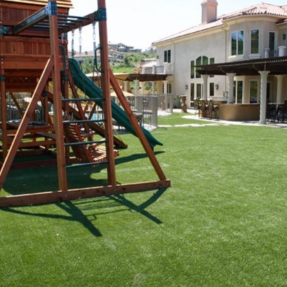 Artificial Grass Congress, Arizona Backyard Playground, Backyards