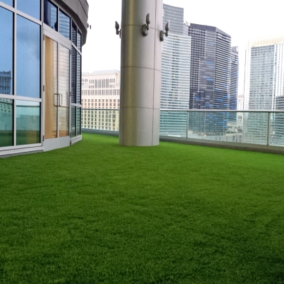 Artificial Grass Elgin, Arizona Landscape Ideas, Commercial Landscape