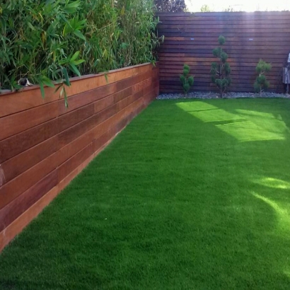 Artificial Lawn Beyerville, Arizona Landscaping Business, Backyard Makeover