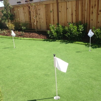 Artificial Lawn Cave Creek, Arizona Best Indoor Putting Green, Backyard Landscaping Ideas