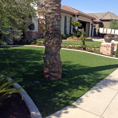 Artificial Lawn Christopher Creek, Arizona Gardeners, Front Yard Ideas