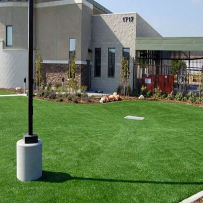 Artificial Lawn Gila Bend, Arizona Landscaping, Commercial Landscape