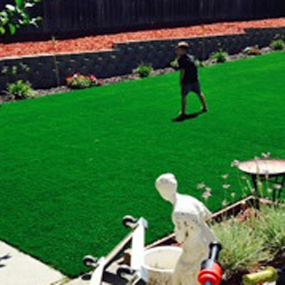 Artificial Lawn Guadalupe, Arizona Landscape Photos, Backyard Landscaping Ideas