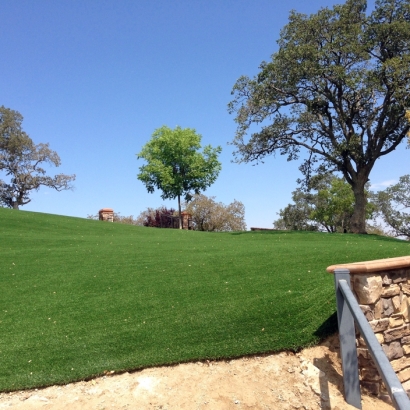 Artificial Lawn Heber-Overgaard, Arizona Backyard Playground, Front Yard Landscape Ideas