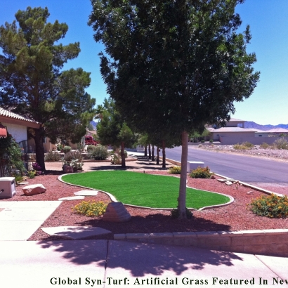 Artificial Lawn Mesa, Arizona Landscape Design, Front Yard Design