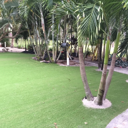 Artificial Lawn Summit, Arizona Landscaping Business, Commercial Landscape