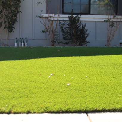 Artificial Lawn Tucson Estates, Arizona Design Ideas, Front Yard Landscape Ideas