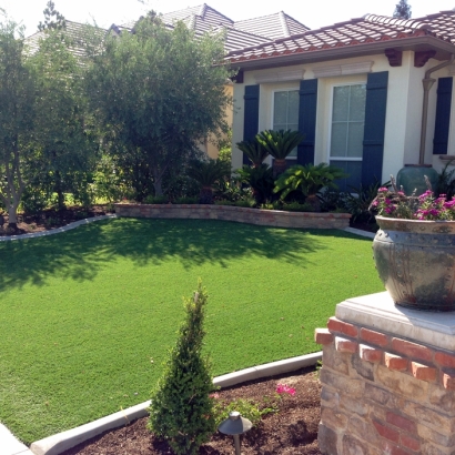 Artificial Turf Cost Catalina Foothills, Arizona Home And Garden, Front Yard Ideas