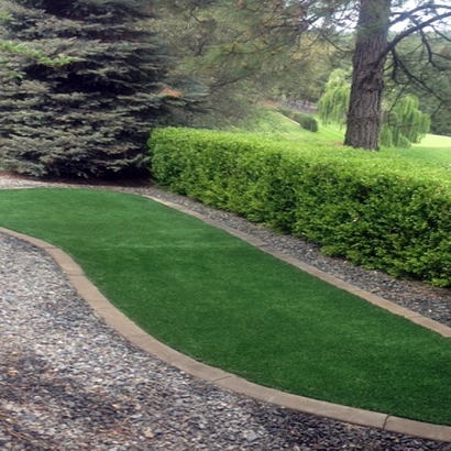 Artificial Turf Cost Williams, Arizona Design Ideas