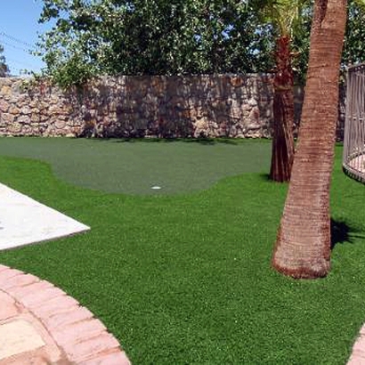 Artificial Turf Eloy, Arizona Golf Green, Small Backyard Ideas