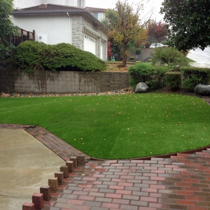 Artificial Turf Heber-Overgaard, Arizona Landscape Ideas, Backyard Landscaping