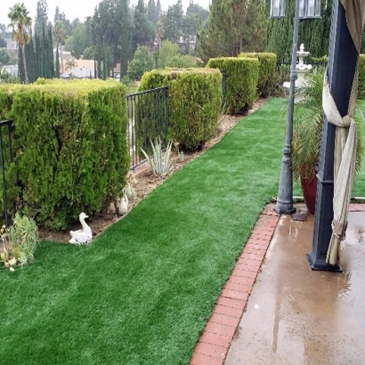 Artificial Turf Installation Wintersburg, Arizona Roof Top, Backyard Design