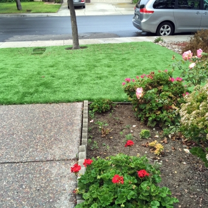 Artificial Turf Kykotsmovi Village, Arizona Fake Grass For Dogs, Front Yard Landscaping Ideas