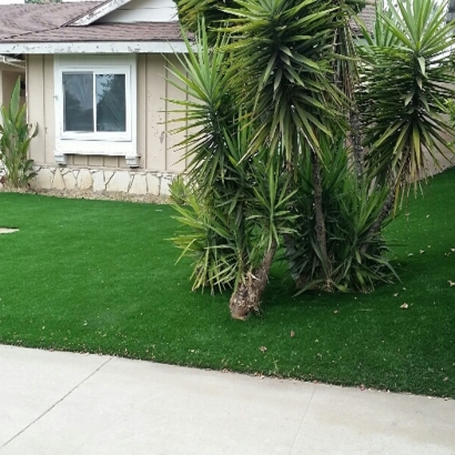 Best Artificial Grass Dudleyville, Arizona Rooftop, Small Front Yard Landscaping