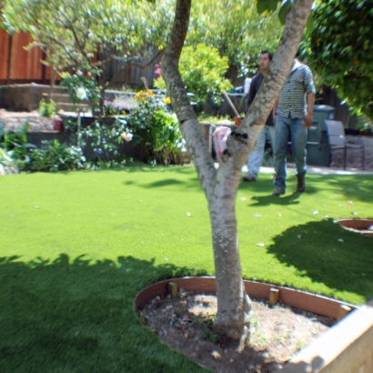 Best Artificial Grass Peeples Valley, Arizona Gardeners, Backyard Landscape Ideas