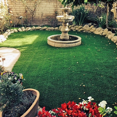 Best Artificial Grass Sedona, Arizona Garden Ideas