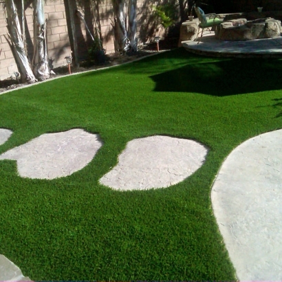 Fake Grass Carpet Douglas, Arizona Design Ideas, Small Backyard Ideas