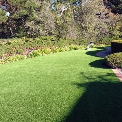 Fake Grass Carpet Taylor, Arizona Landscaping, Landscaping Ideas For Front Yard