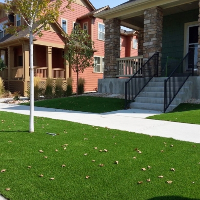 Fake Grass Coolidge, Arizona City Landscape, Front Yard Landscape Ideas