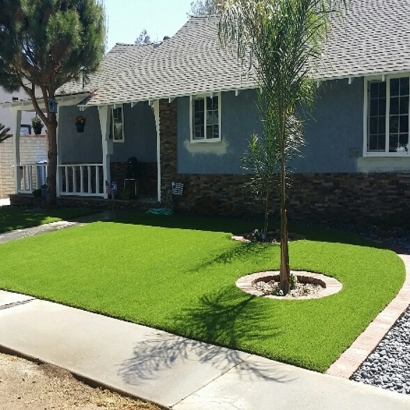 Fake Grass Kaka, Arizona Home And Garden, Front Yard Landscaping Ideas