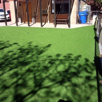 Fake Grass Mesa del Caballo, Arizona Landscape Ideas, Backyard Landscape Ideas