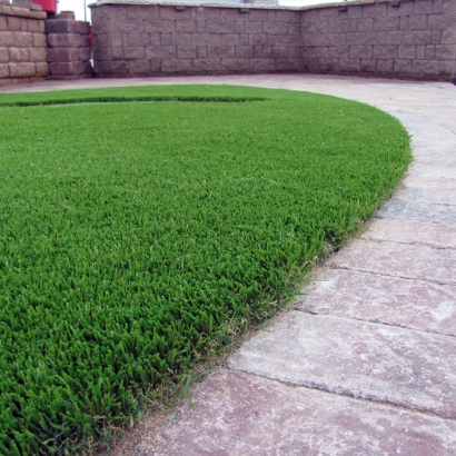 Fake Lawn Drexel Heights, Arizona Artificial Grass For Dogs, Landscaping Ideas For Front Yard