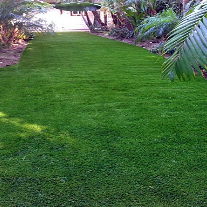 Fake Lawn Tuba City, Arizona Lawn And Landscape, Backyard Landscaping