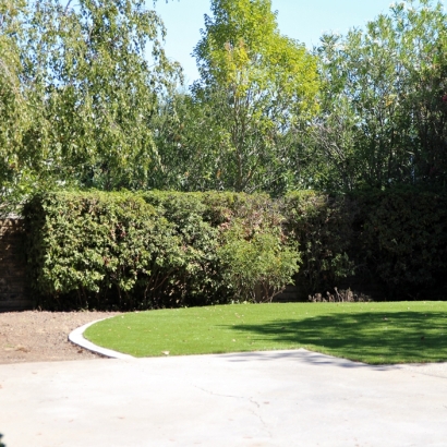 Fake Turf Ak Chin, Arizona Design Ideas, Backyard