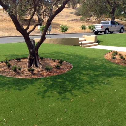 Fake Turf Jeddito, Arizona Garden Ideas, Front Yard Landscaping Ideas