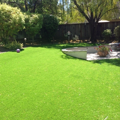 Fake Turf Oracle, Arizona Landscaping Business, Backyard Design