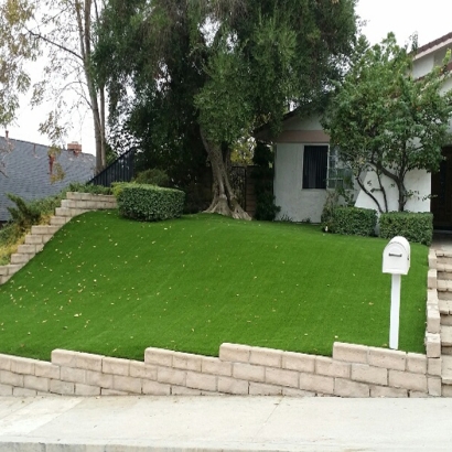 Fake Turf Red Rock, Arizona Landscape Design, Front Yard Landscape Ideas