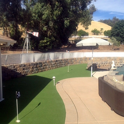 Faux Grass Elgin, Arizona Home Putting Green, Backyard Landscape Ideas