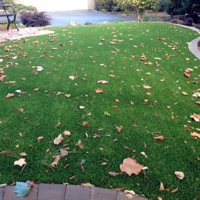 Faux Grass Greer, Arizona Rooftop, Front Yard Design