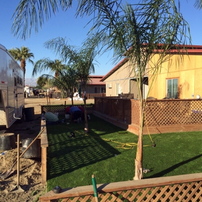 Faux Grass Mescal, Arizona Landscape Photos, Beautiful Backyards