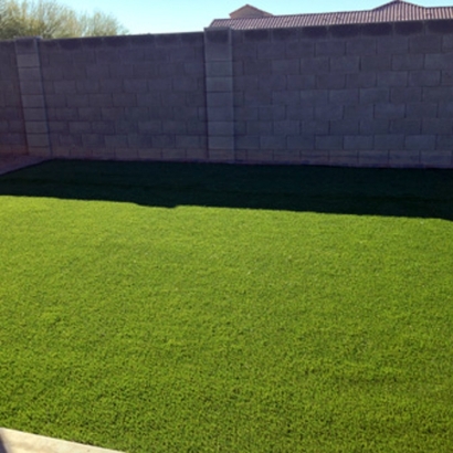 Faux Grass Paradise Valley, Arizona Gardeners, Backyard Designs