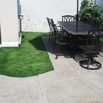 Grass Carpet Carrizo, Arizona Design Ideas, Backyard Ideas