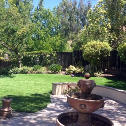 Grass Carpet Marana, Arizona Paver Patio, Backyard Designs