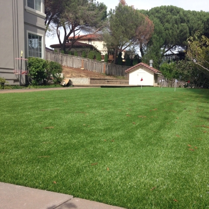 Grass Carpet Mayer, Arizona Putting Green Carpet, Backyard Garden Ideas