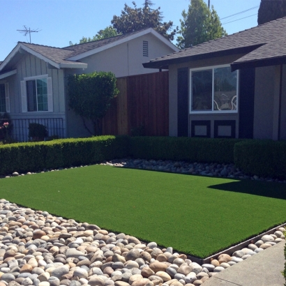 Grass Carpet Mesa del Caballo, Arizona Landscape Photos, Front Yard Landscaping