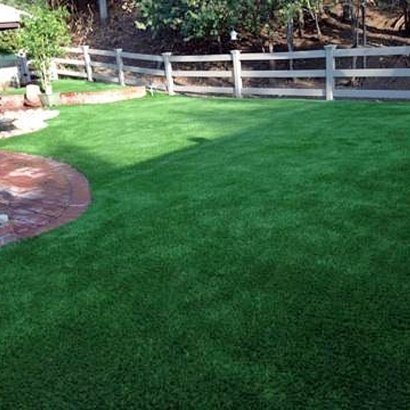Grass Carpet Naco, Arizona Design Ideas, Backyard Landscaping