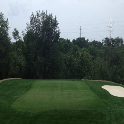 Grass Carpet Tubac, Arizona Office Putting Green, Backyard Landscaping Ideas